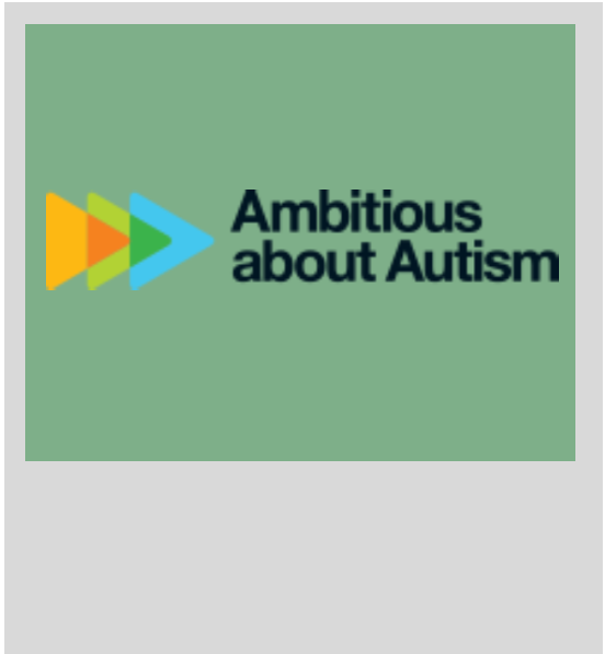 Ambitious About Autism